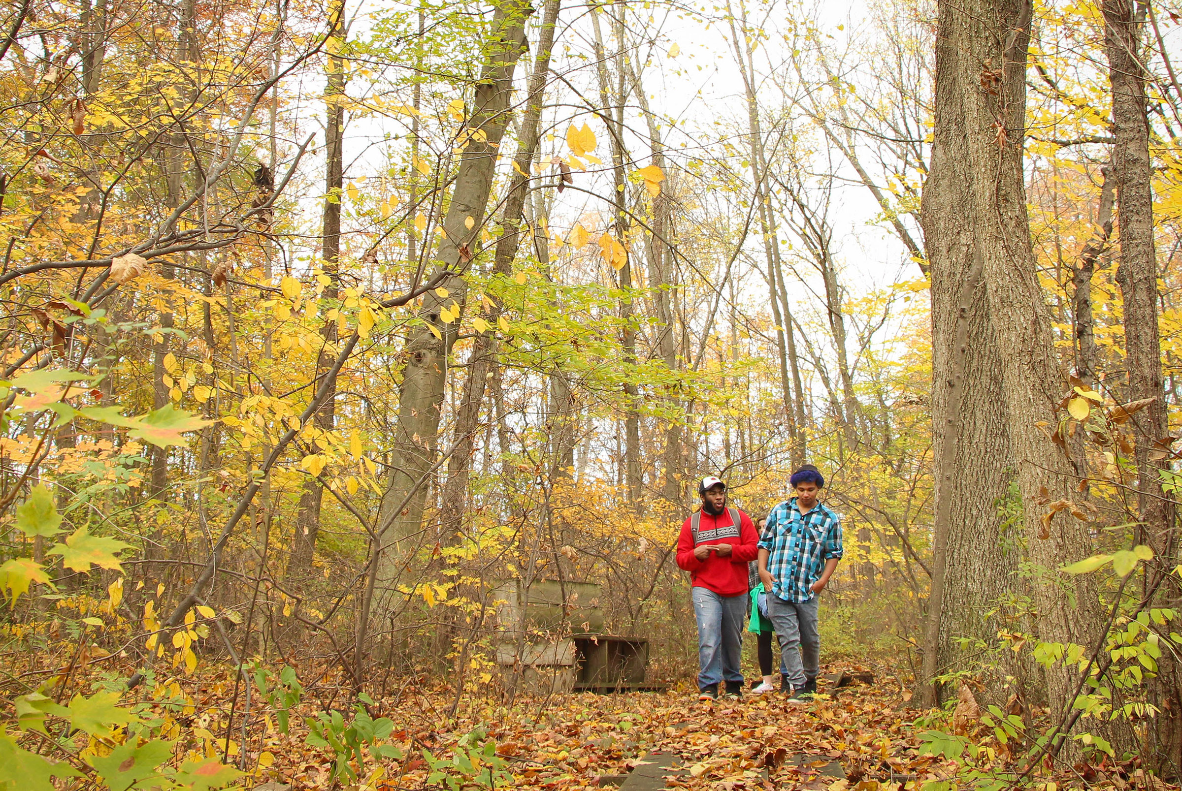 Students hiking the trail in autumn.