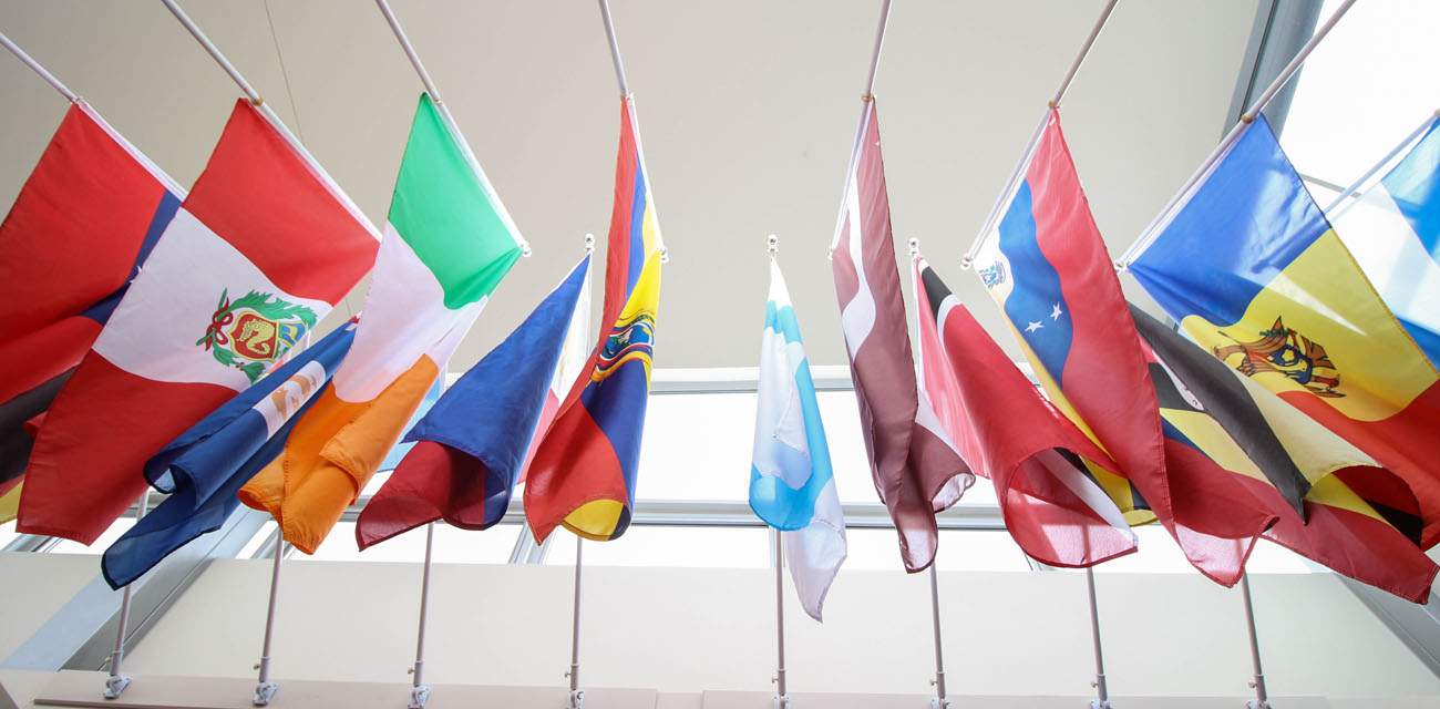 Flags of the world