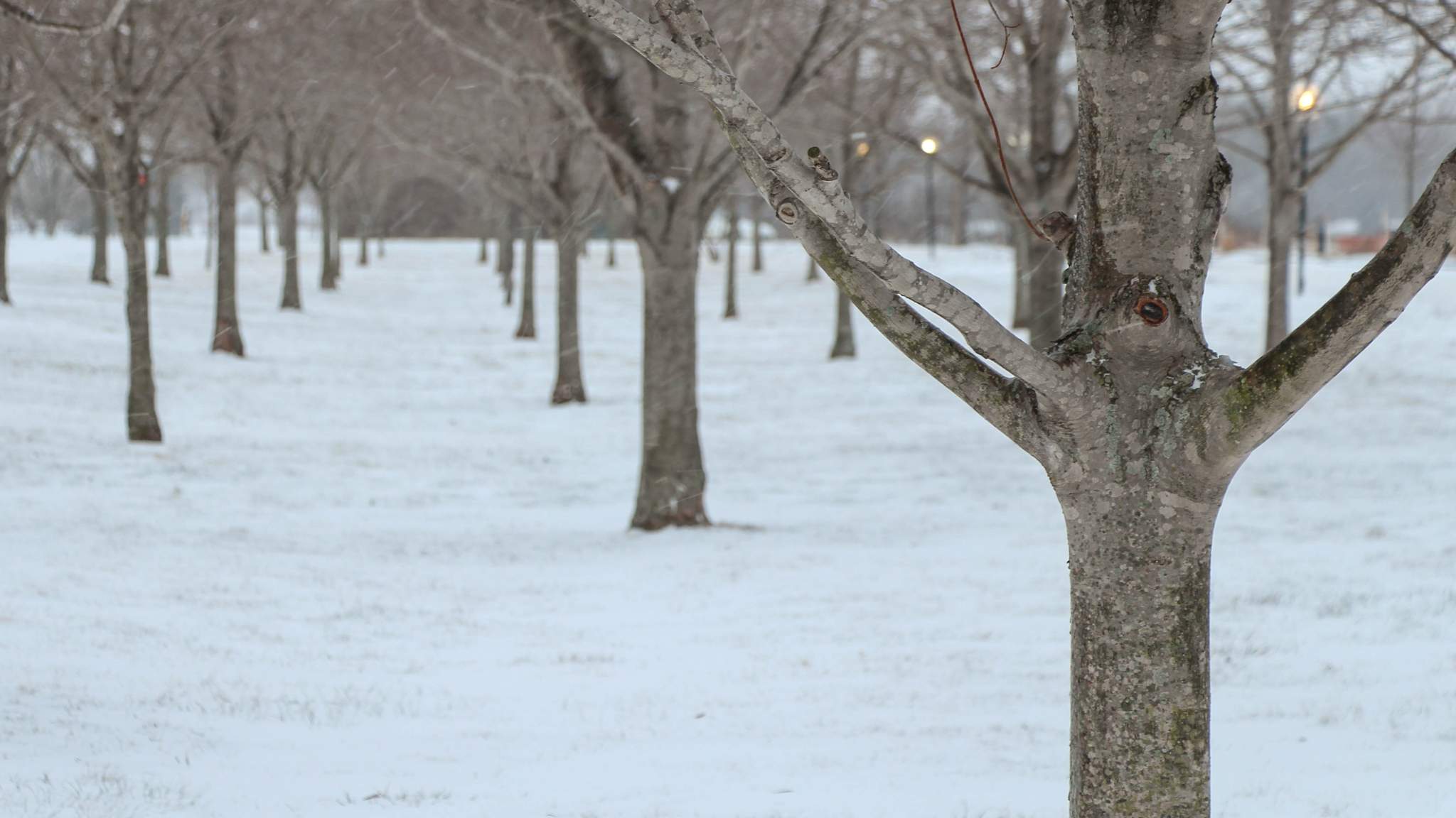 LMC Benton Harbor Campus in Winter