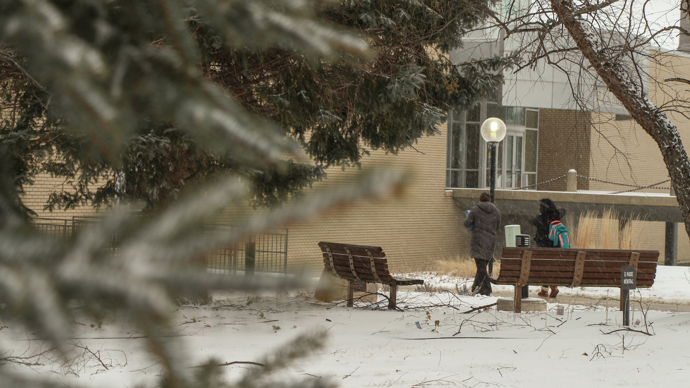 Campus in winter