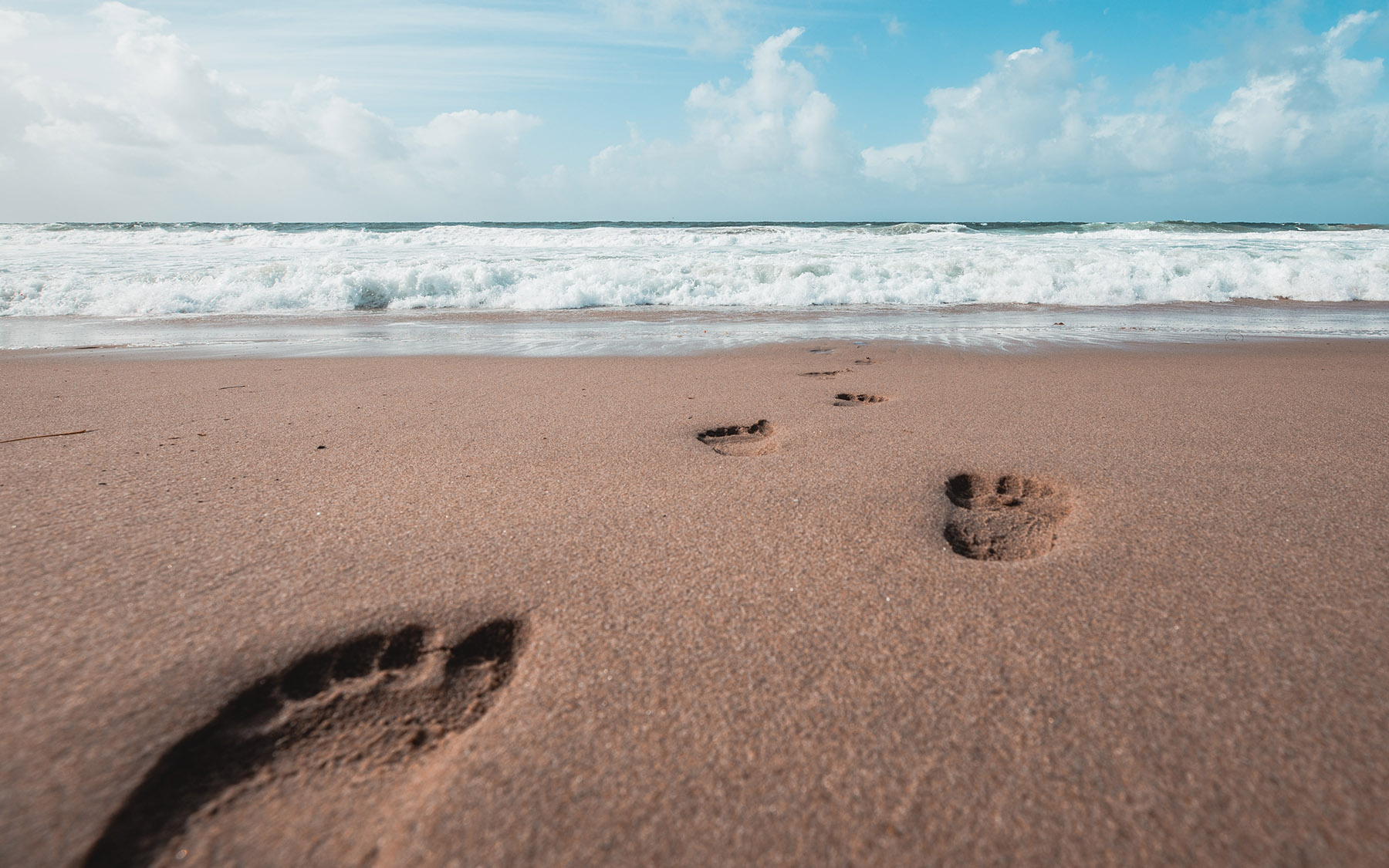 Footsteps in the sand leading up to the water