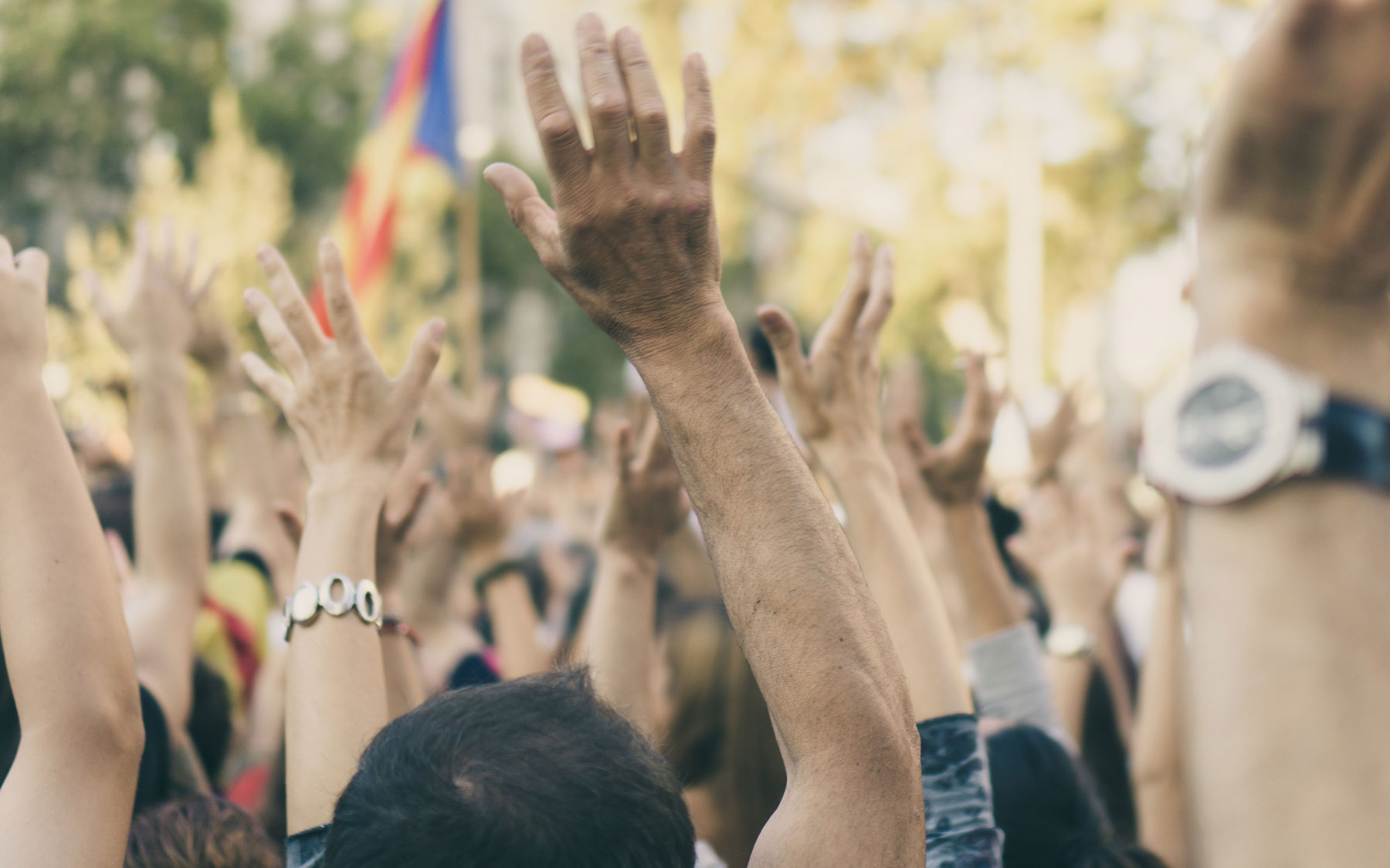 Crowd of people with their hands raised