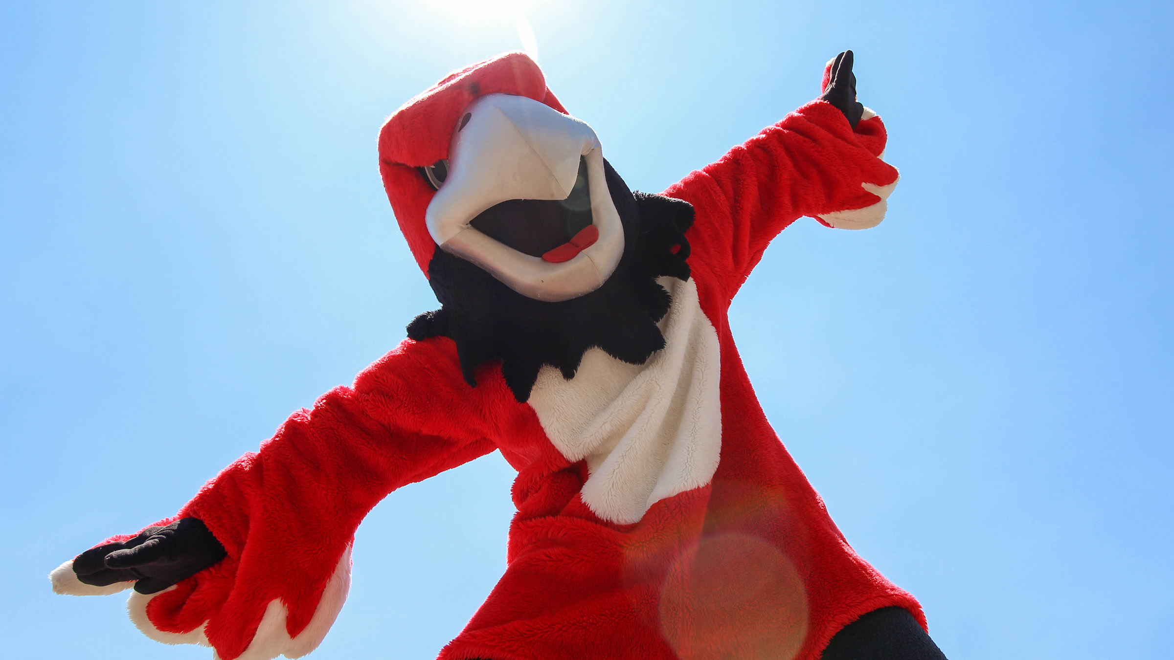 Rocky the Red Hawk mascot with his arms outstretched against a blue sky.