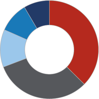 Pie chart of Age distribution - legend follows.