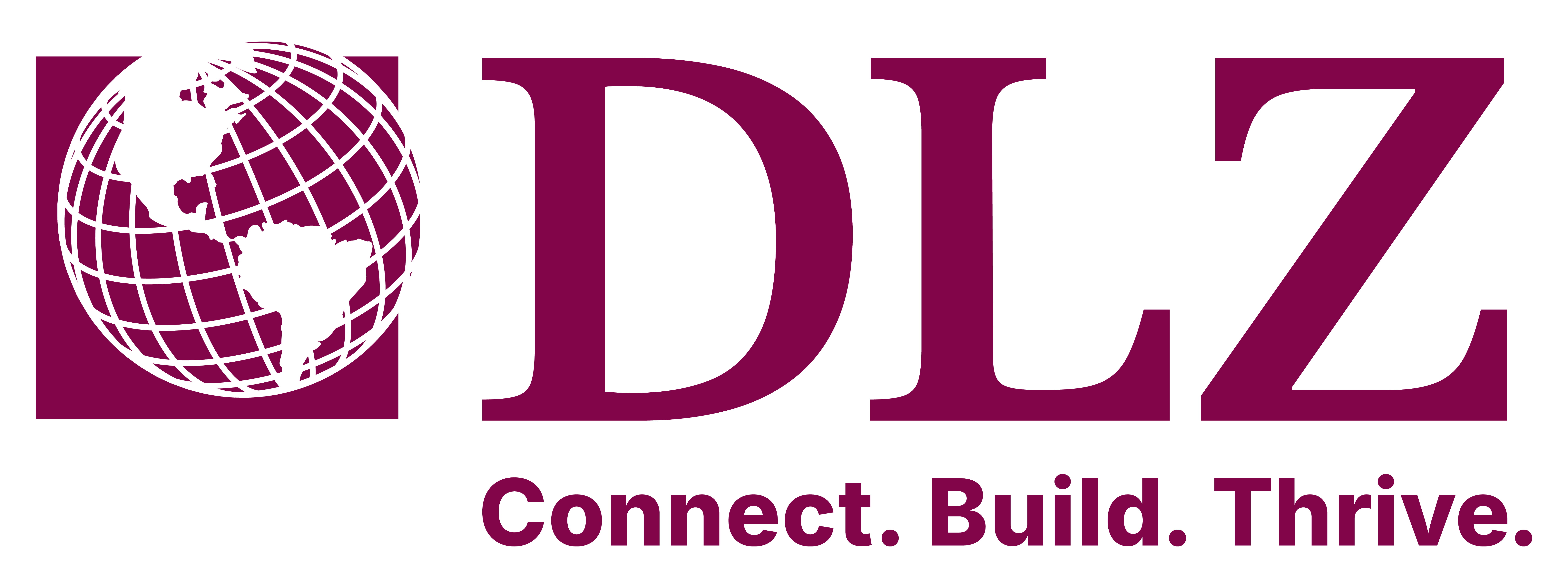 Image text: DLZ - Connect. Build. Thrive.