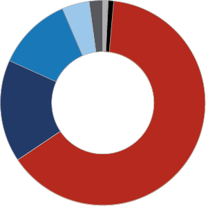 Pie chart of student ethnicity distribution - legend follows.