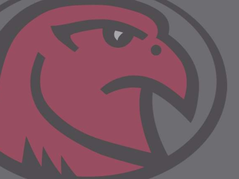 LMC REdhawk logo