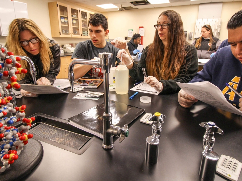 Science students working in the lab