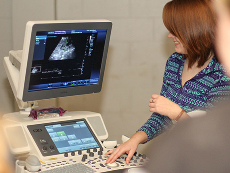 Sonography student looking at an image