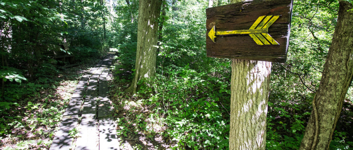 A sign post on LMC's Nature Trail