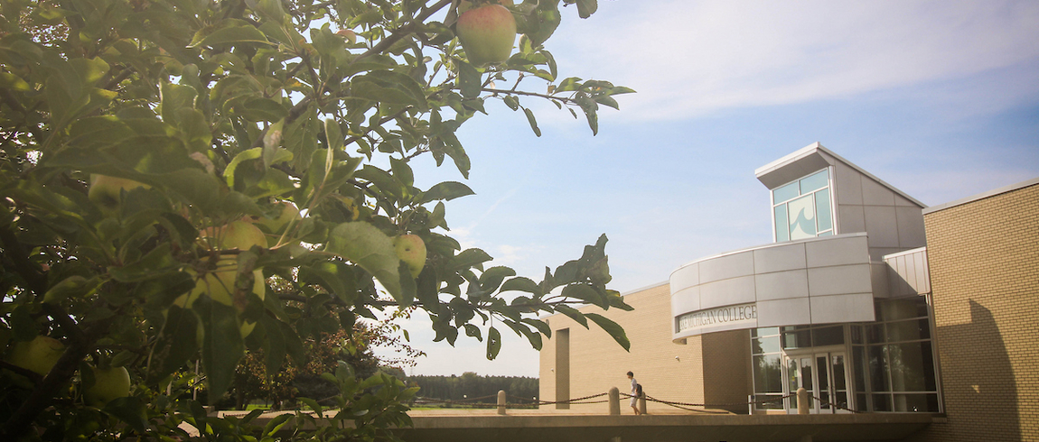 Campus building on a summer day. Blue sky, tree, pond