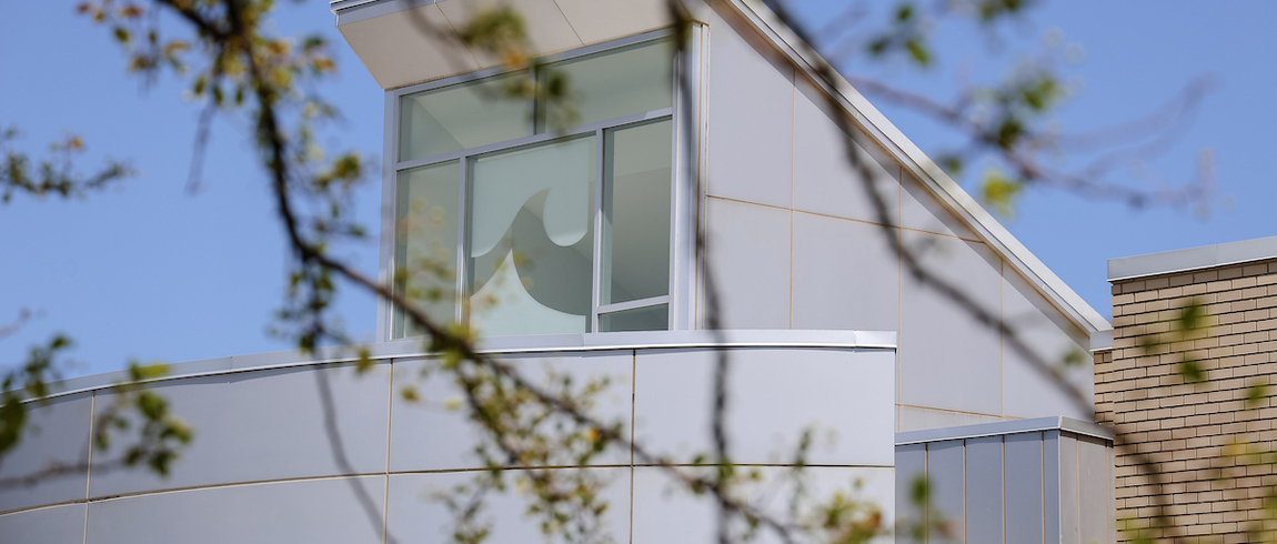 Campus building with blue sky in background, tree branches in foreground, wave logo in building window.