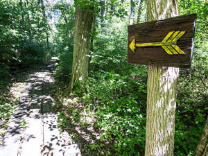 A sign post on LMC's Nature Trail