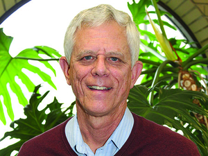 Robert Schodorf in front of a plant near one of the round windows in the Benton Harbor Campus Main Building.