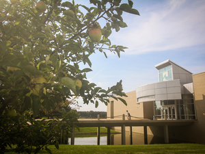 Campus building on a summer day. Blue sky, tree, pond